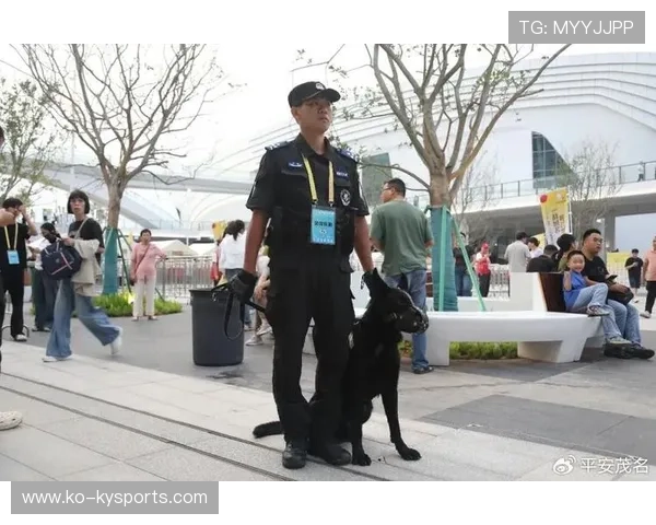 球场安保升级,提升观赛安全体验 球场安保升级,提升观赛安全体验